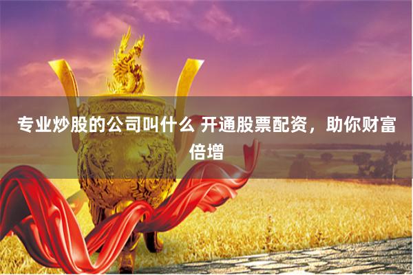专业炒股的公司叫什么 开通股票配资，助你财富倍增