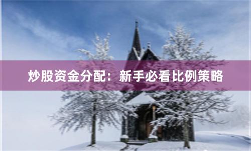 炒股资金分配：新手必看比例策略